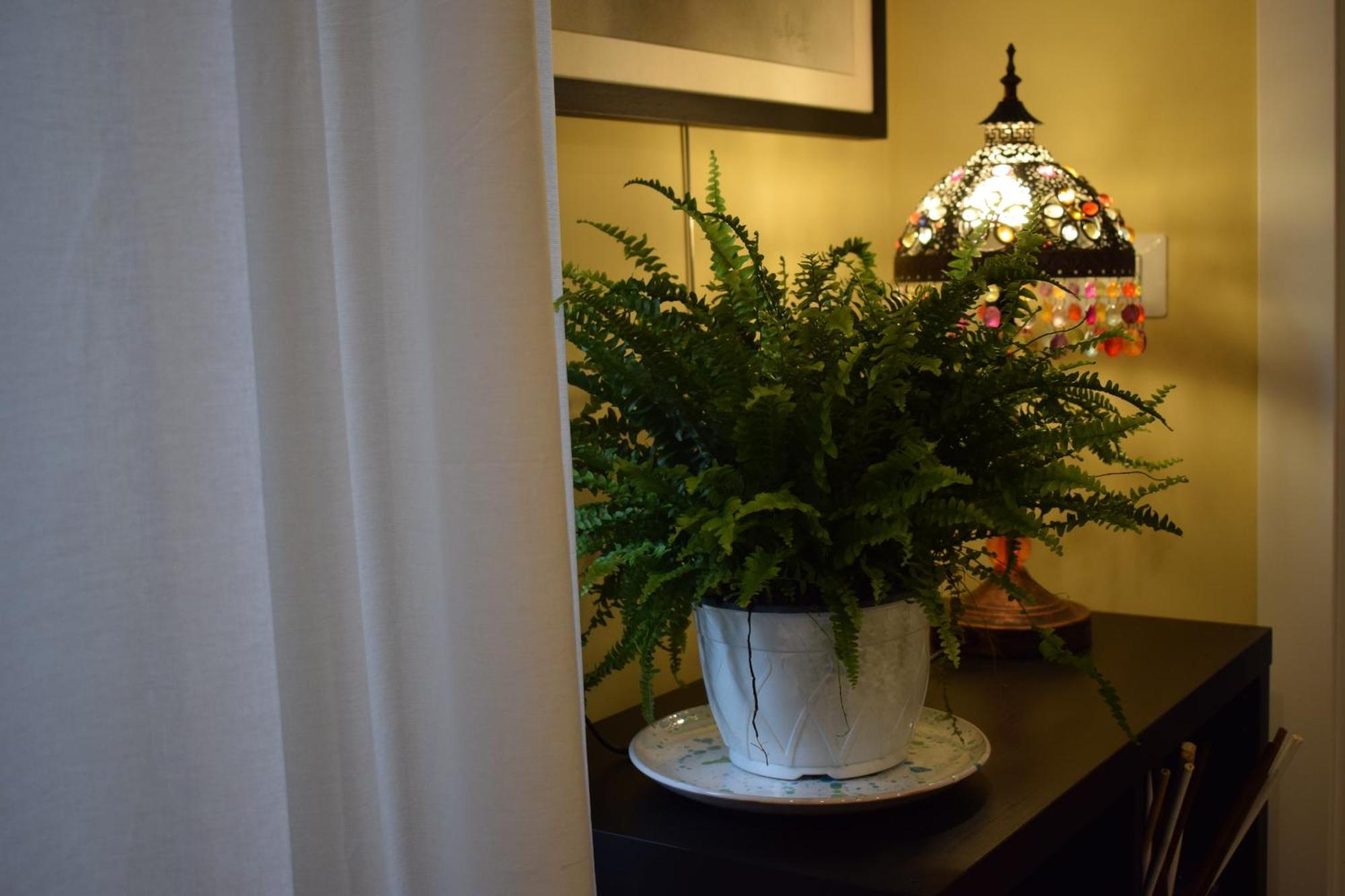 Bed and Breakfast La Dimora Dell'Arte Bari Esterno foto